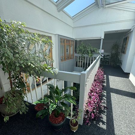 Villa Helvetia Târgu-Mureş Buitenkant foto