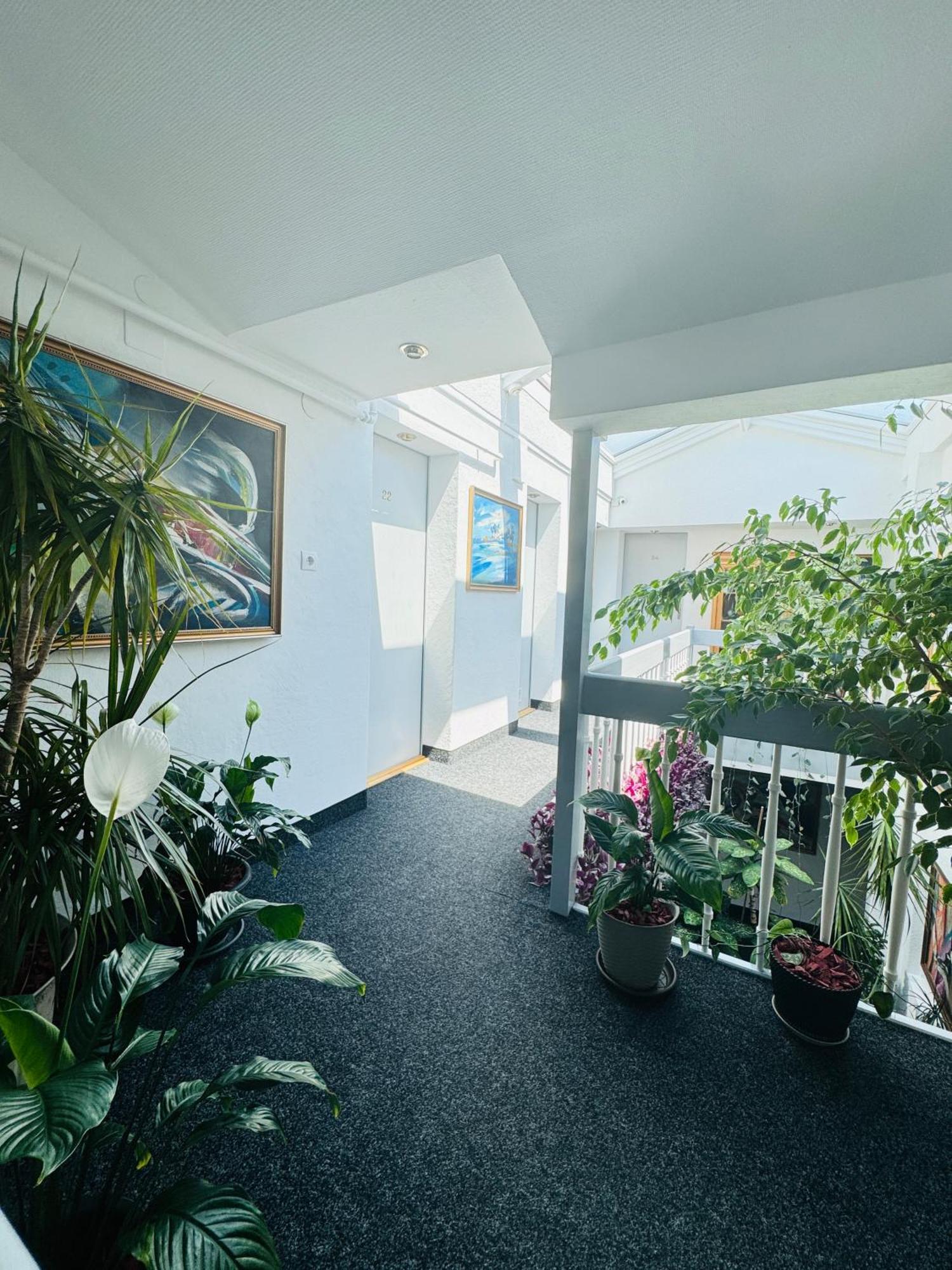 Villa Helvetia Târgu-Mureş Buitenkant foto